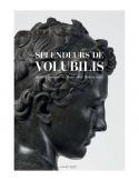 Splendeurs de Volubilis - Collective