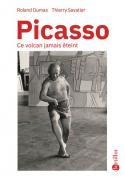 Picasso, ce volcan jamais teint - Conversations between Roland Dumas and Thierry Savatier